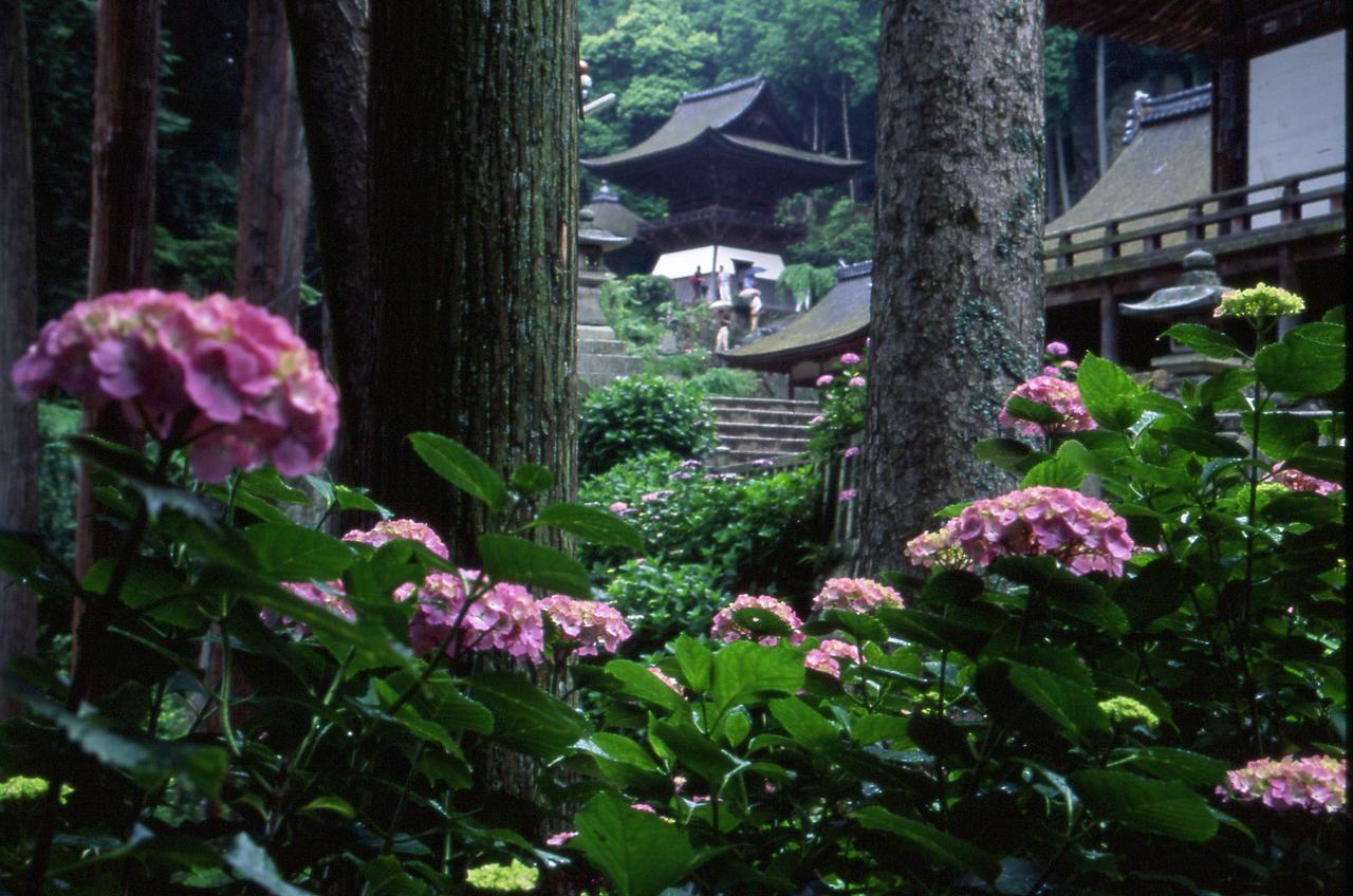Kitabiwako Hotel Grazie Nagahama  Dış mekan fotoğraf