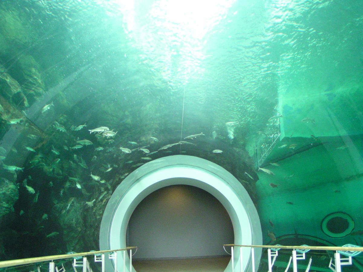 Kitabiwako Hotel Grazie Nagahama  Dış mekan fotoğraf