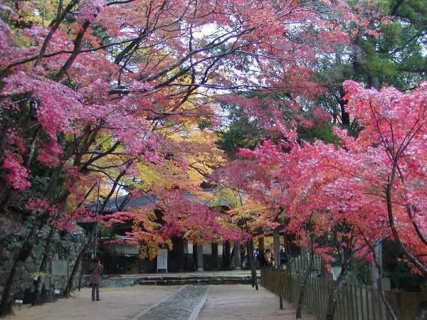Kitabiwako Hotel Grazie Nagahama  Dış mekan fotoğraf